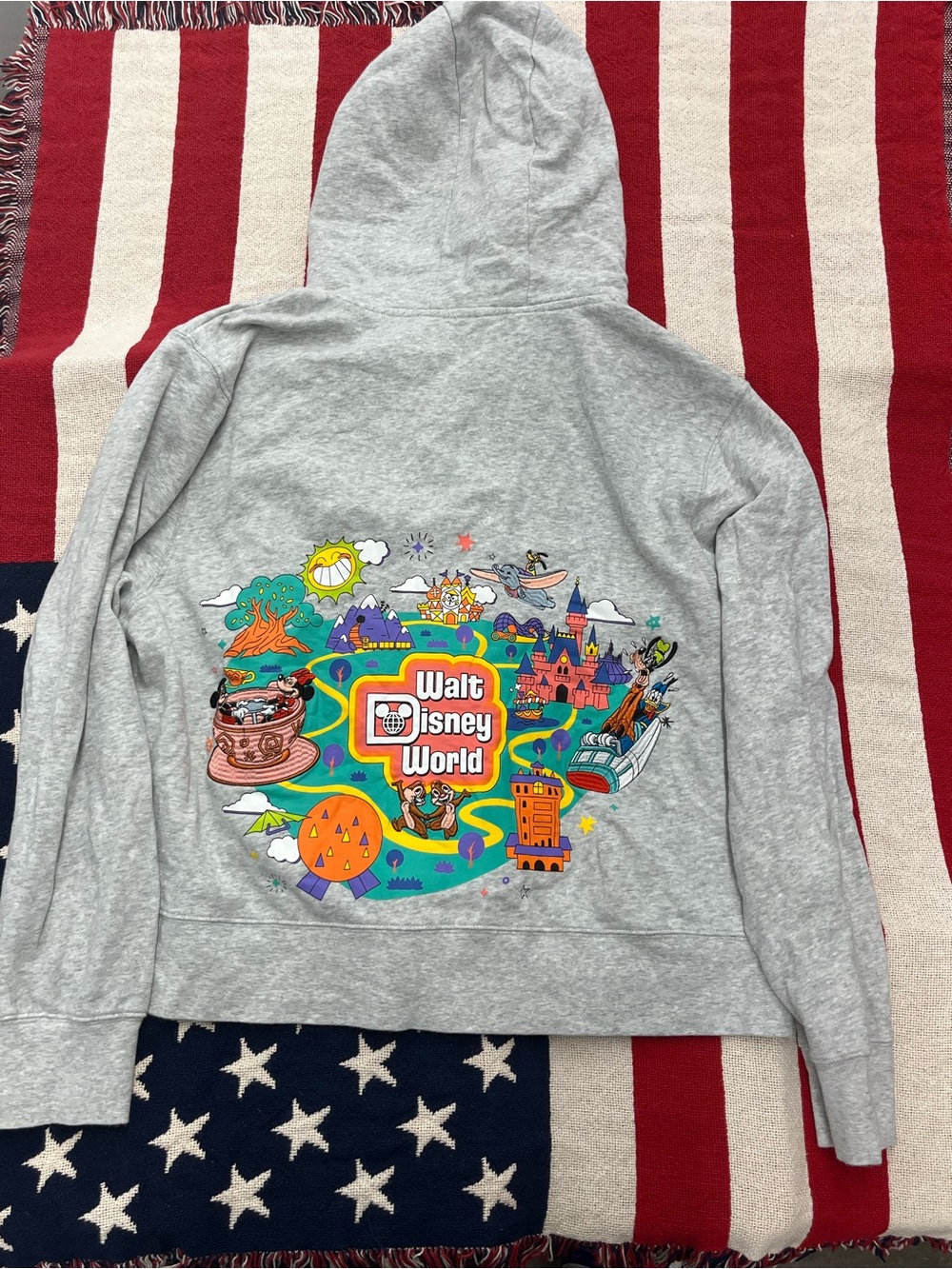 Disney Gray Zip-Up Hoodie with Colorful Walt Disney World Back Graphic Size XL